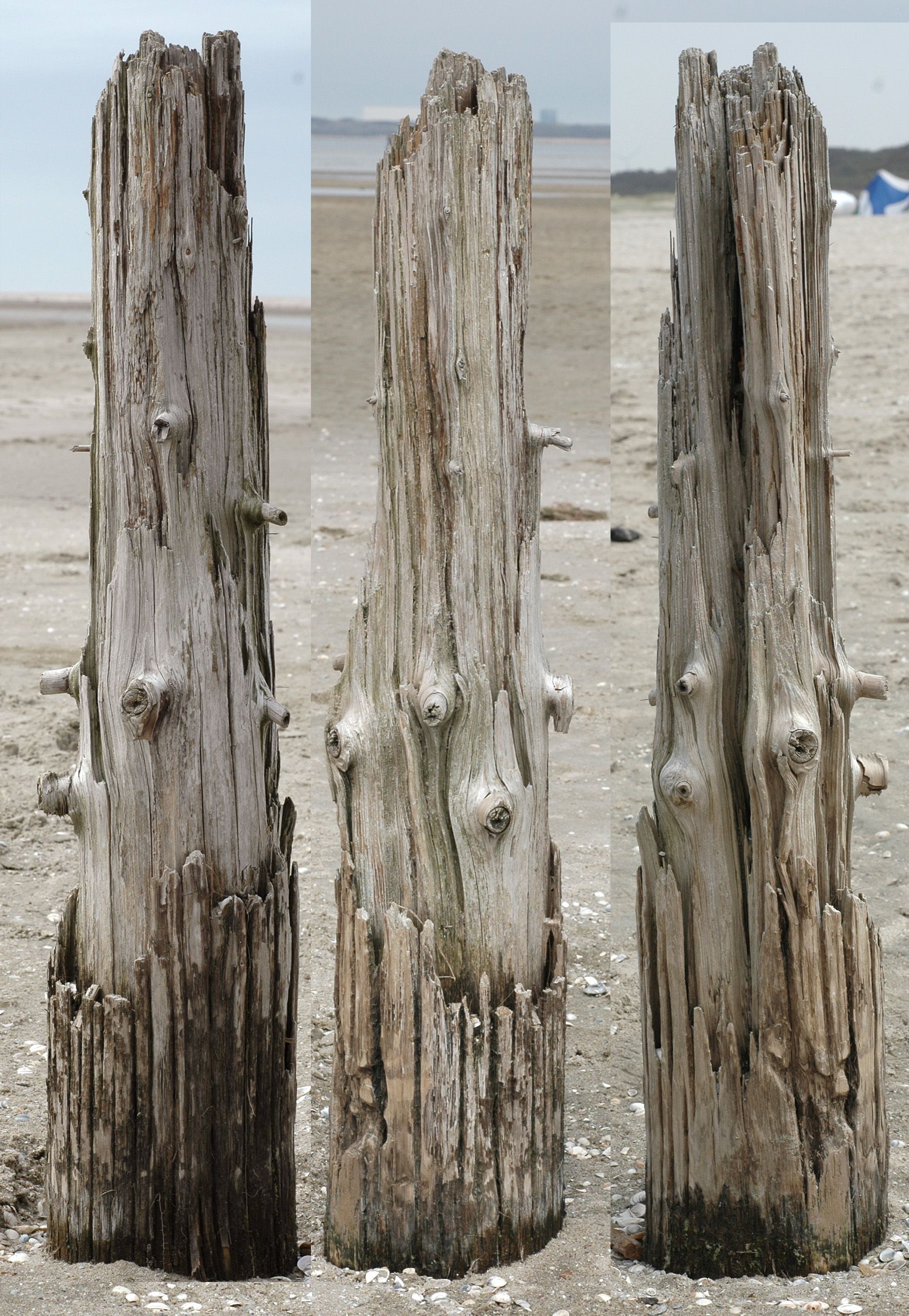 木材-残旧木(124)下载