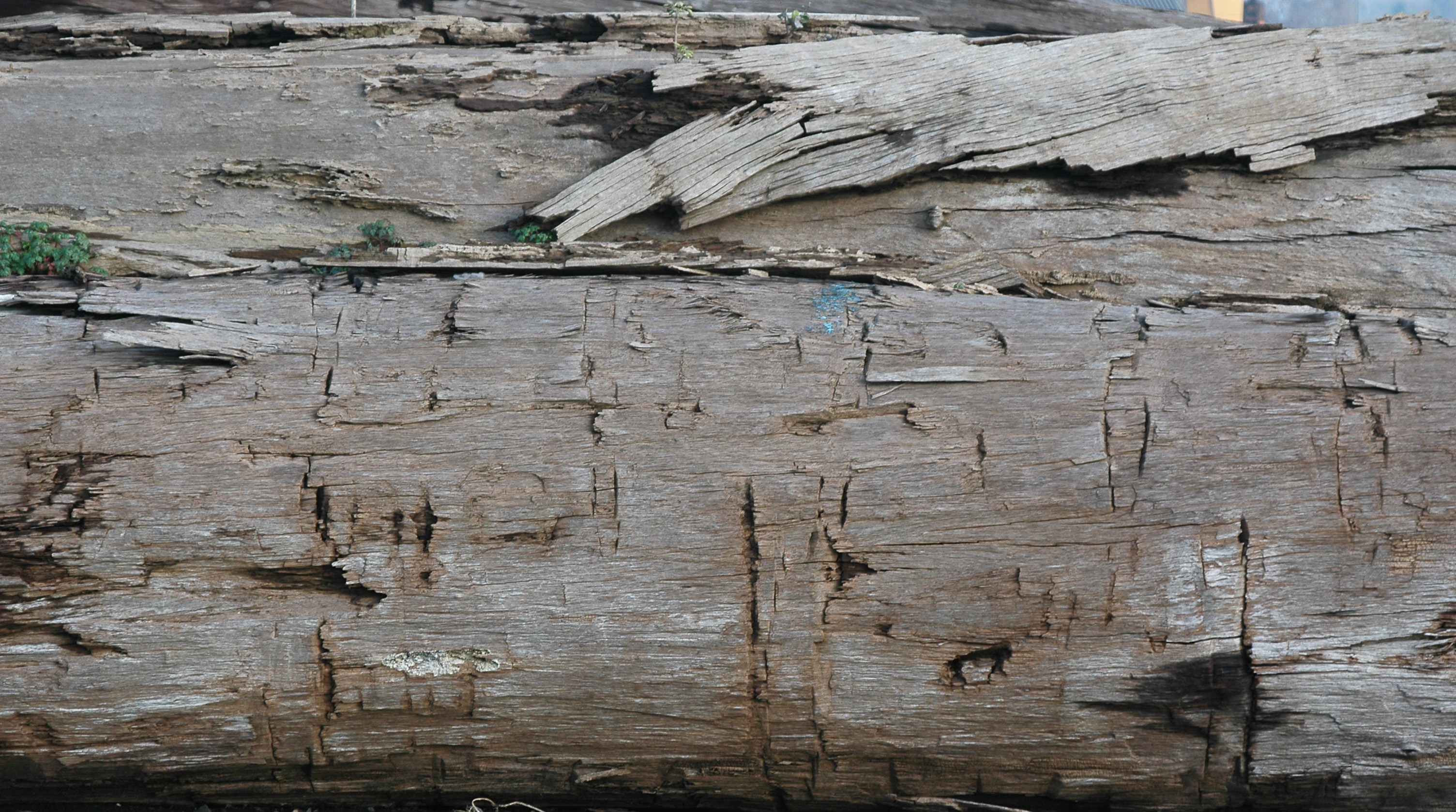 木材-残旧木(141)下载