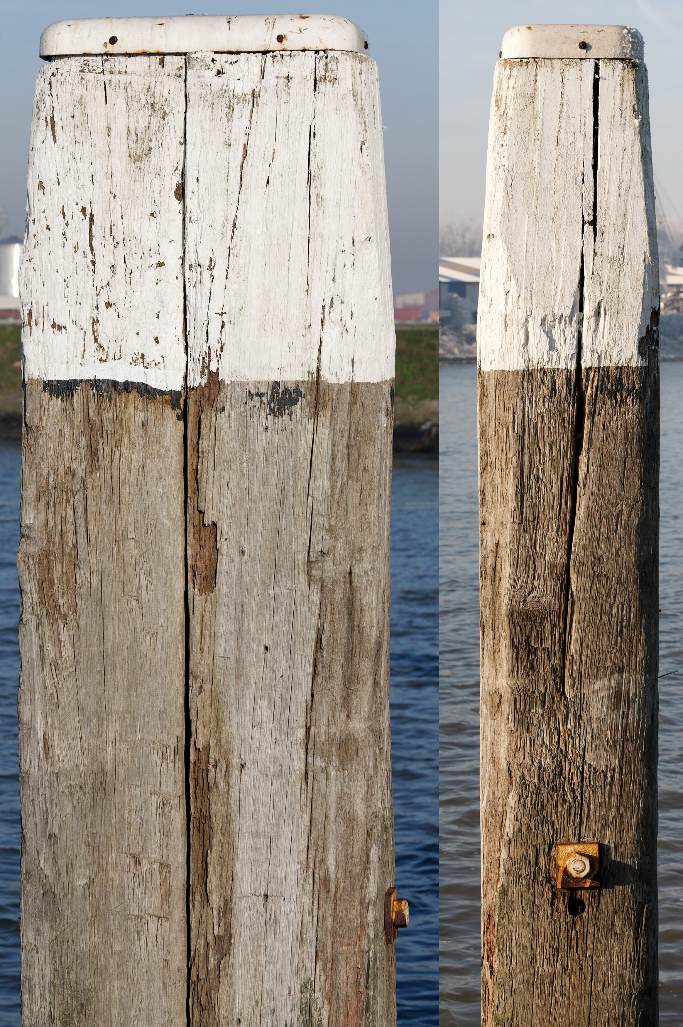 木材-残旧木(160)下载