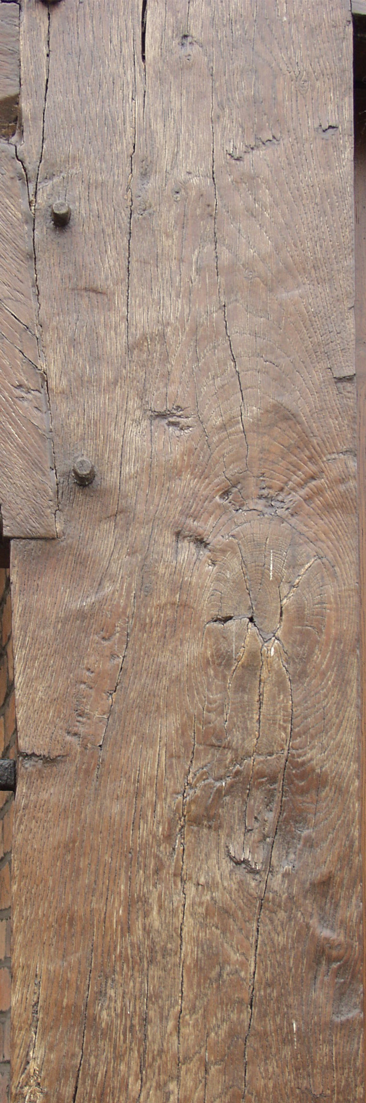 木材-残旧木(19)下载