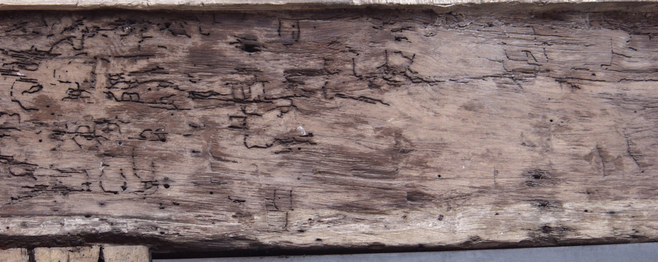 木材-残旧木(20)下载