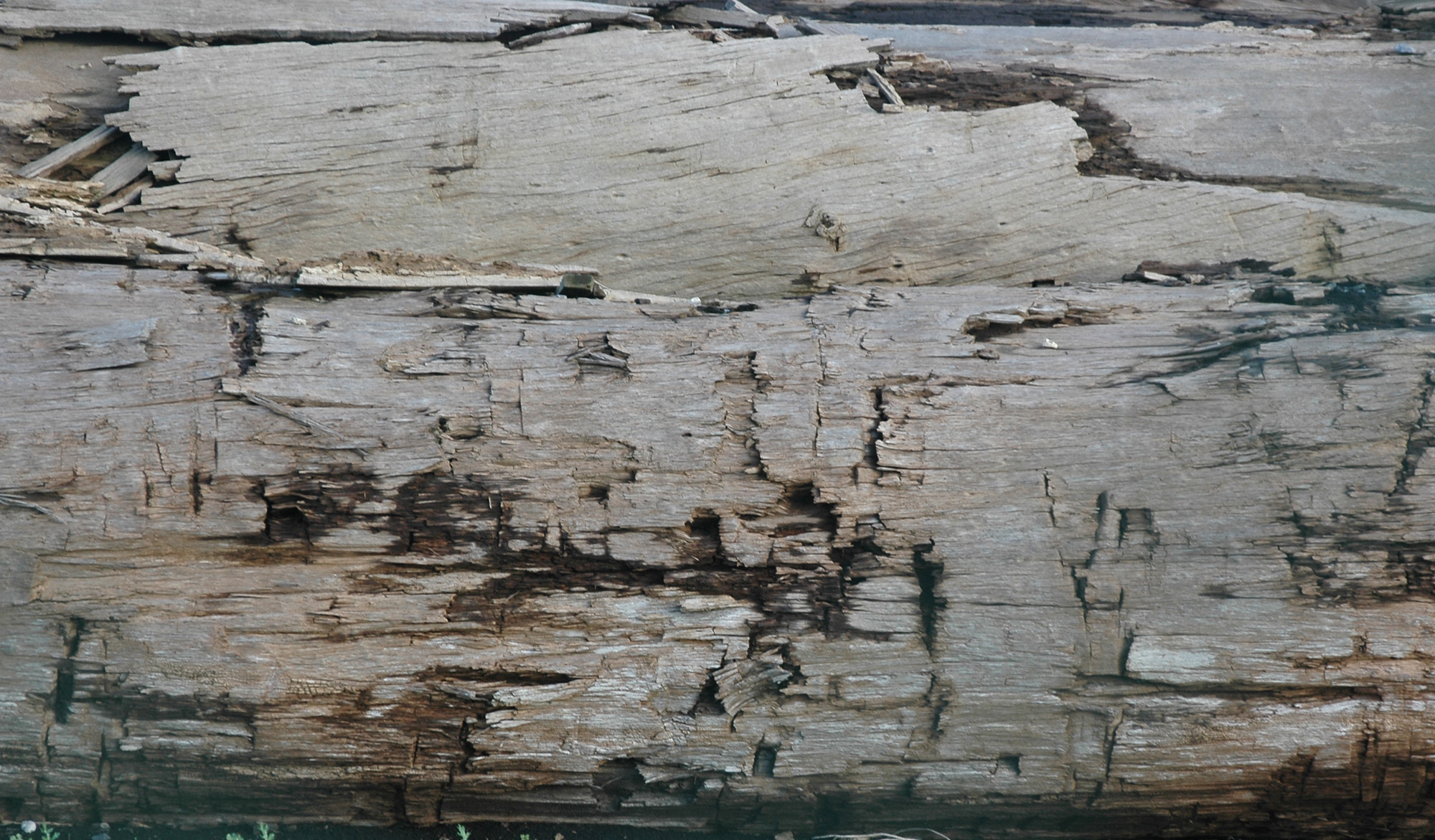 木材-残旧木(39)下载