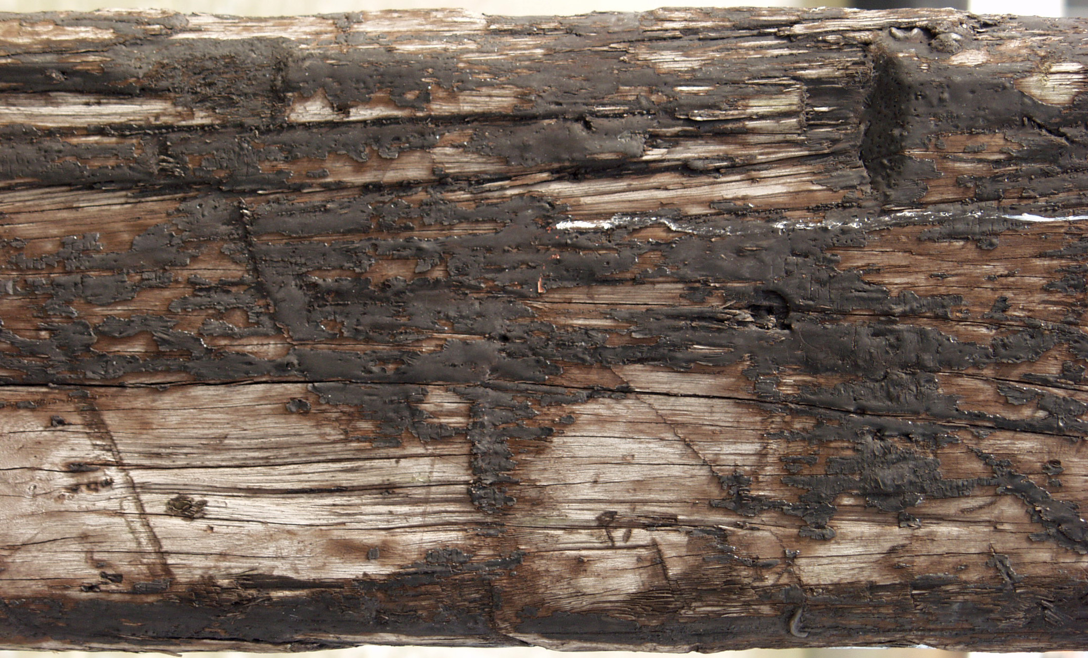 木材-残旧木(62)下载