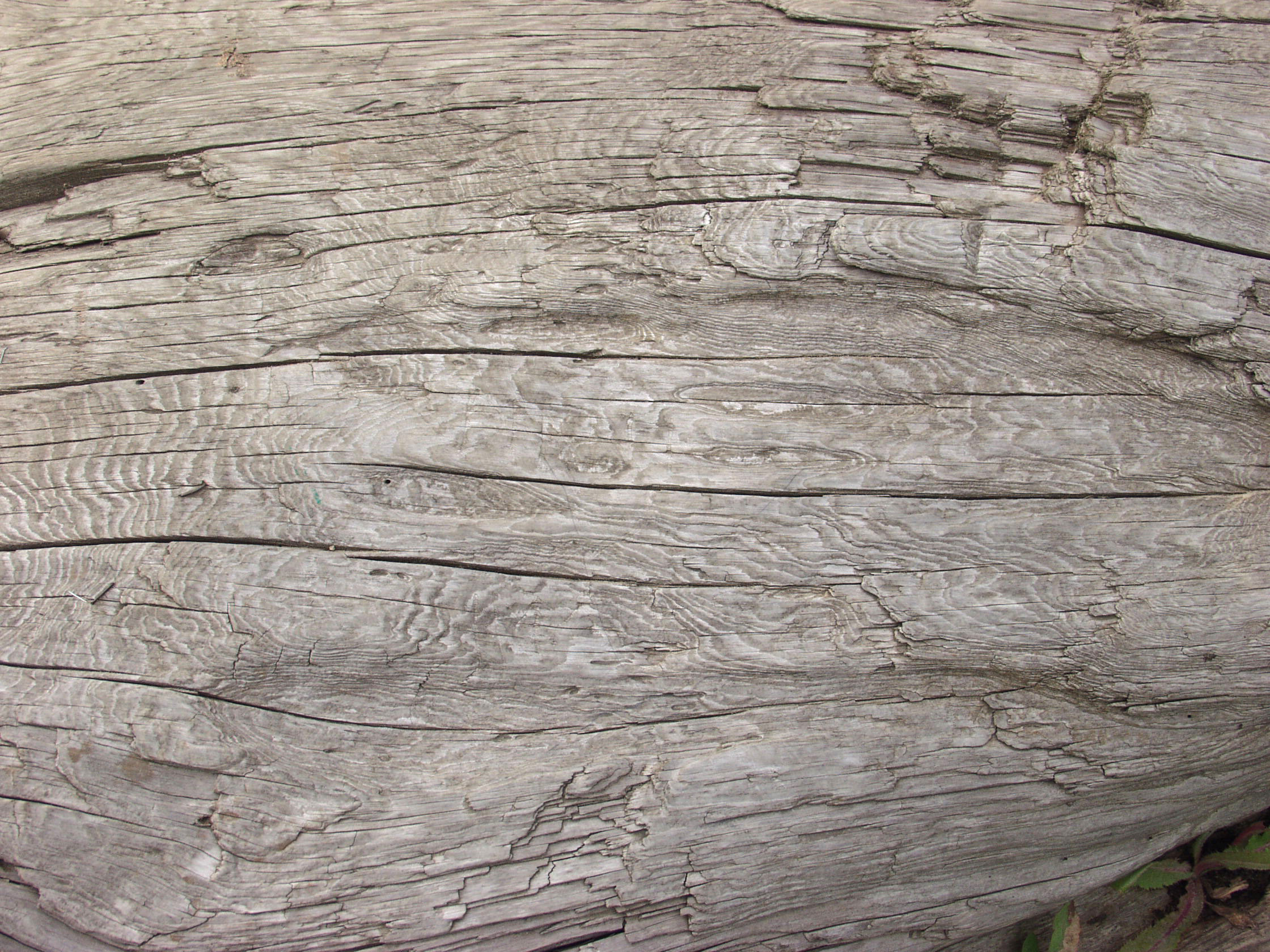 木材-残旧木(78)