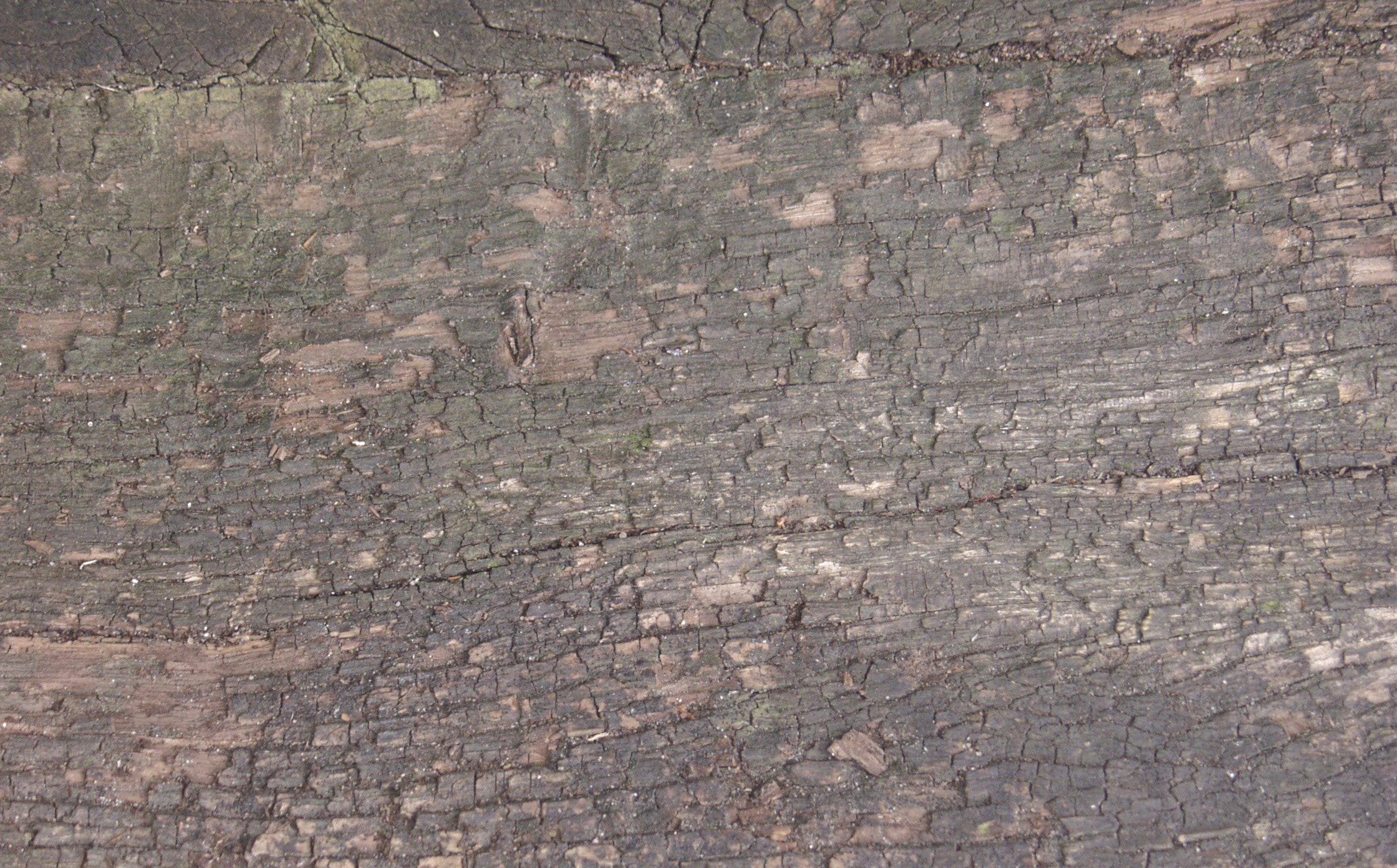 木材-残旧木(85)下载