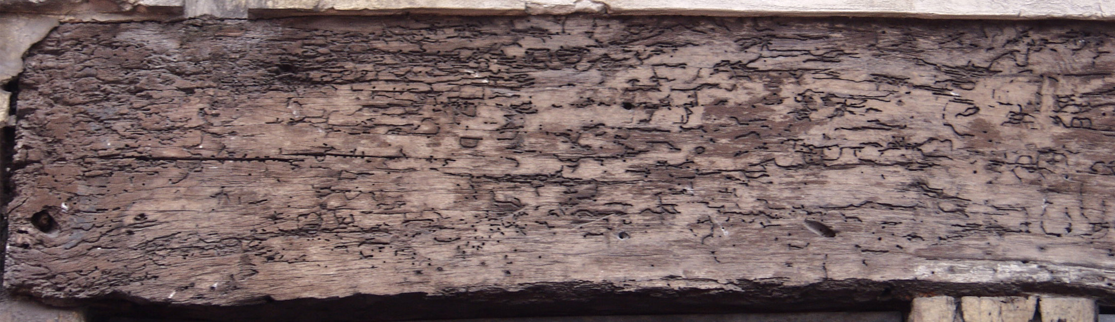 木材-残旧木(9)下载