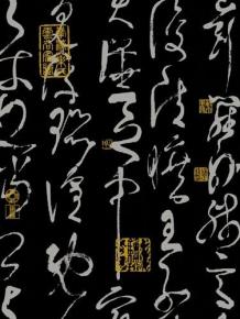  20081103_7cc632e81ac6c37ae55bd4hooRVK1n16 