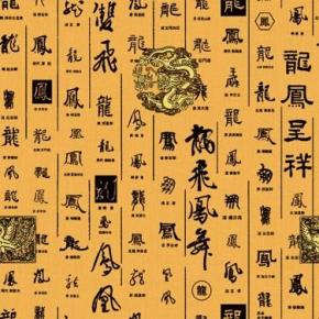  20081103_d06f96e0369461cda4a9SO5iViCiBSab 