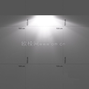 室外照明燈(116) 