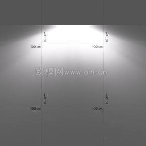  室外照明燈(100) 