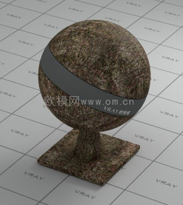  樹皮2 