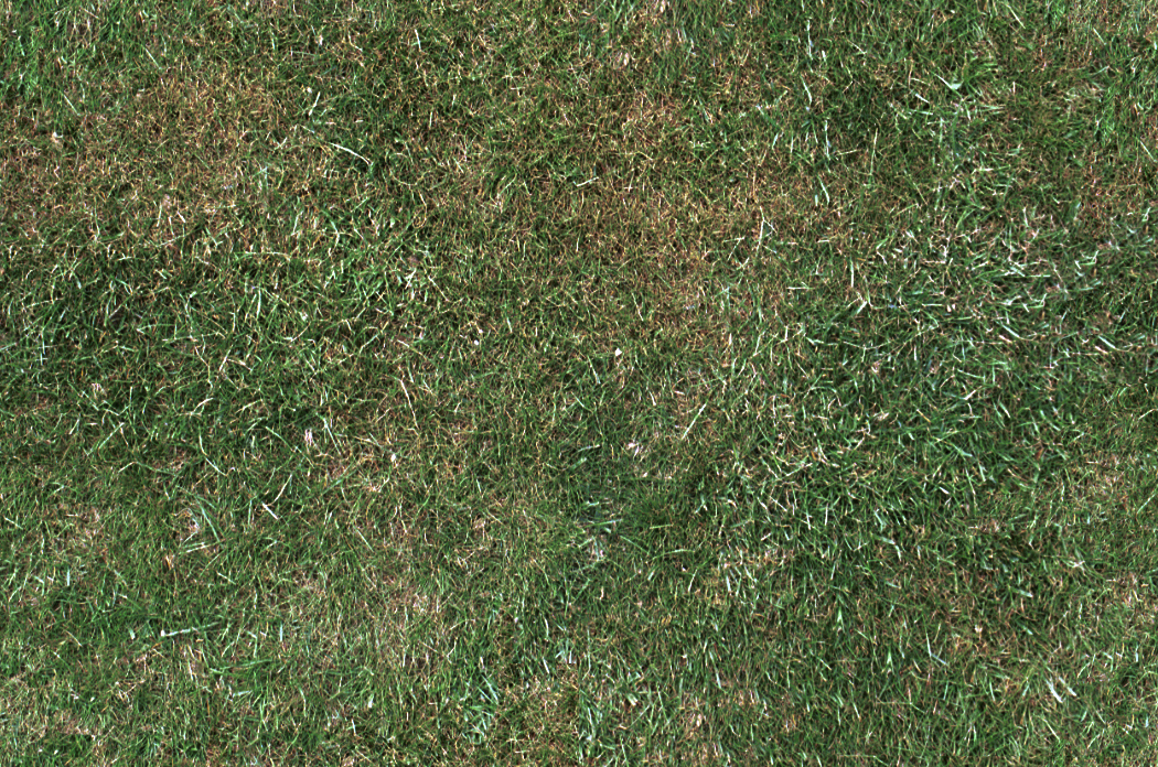 草地-免费3dmax模型库-欧模网