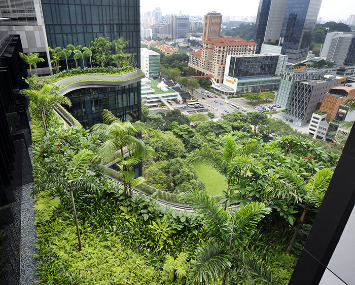 PARKROYAL_4-2013_PBH_015