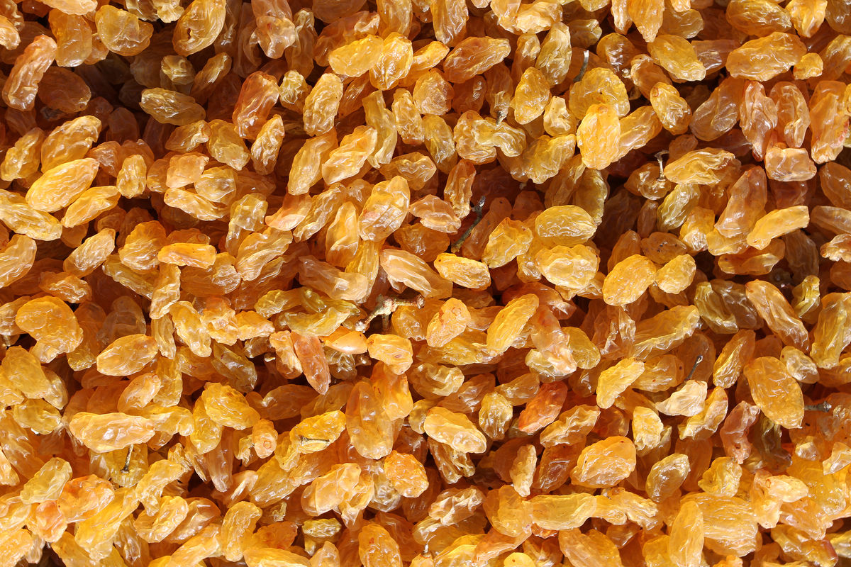 葡萄干-免费3dmax模型库-欧模网