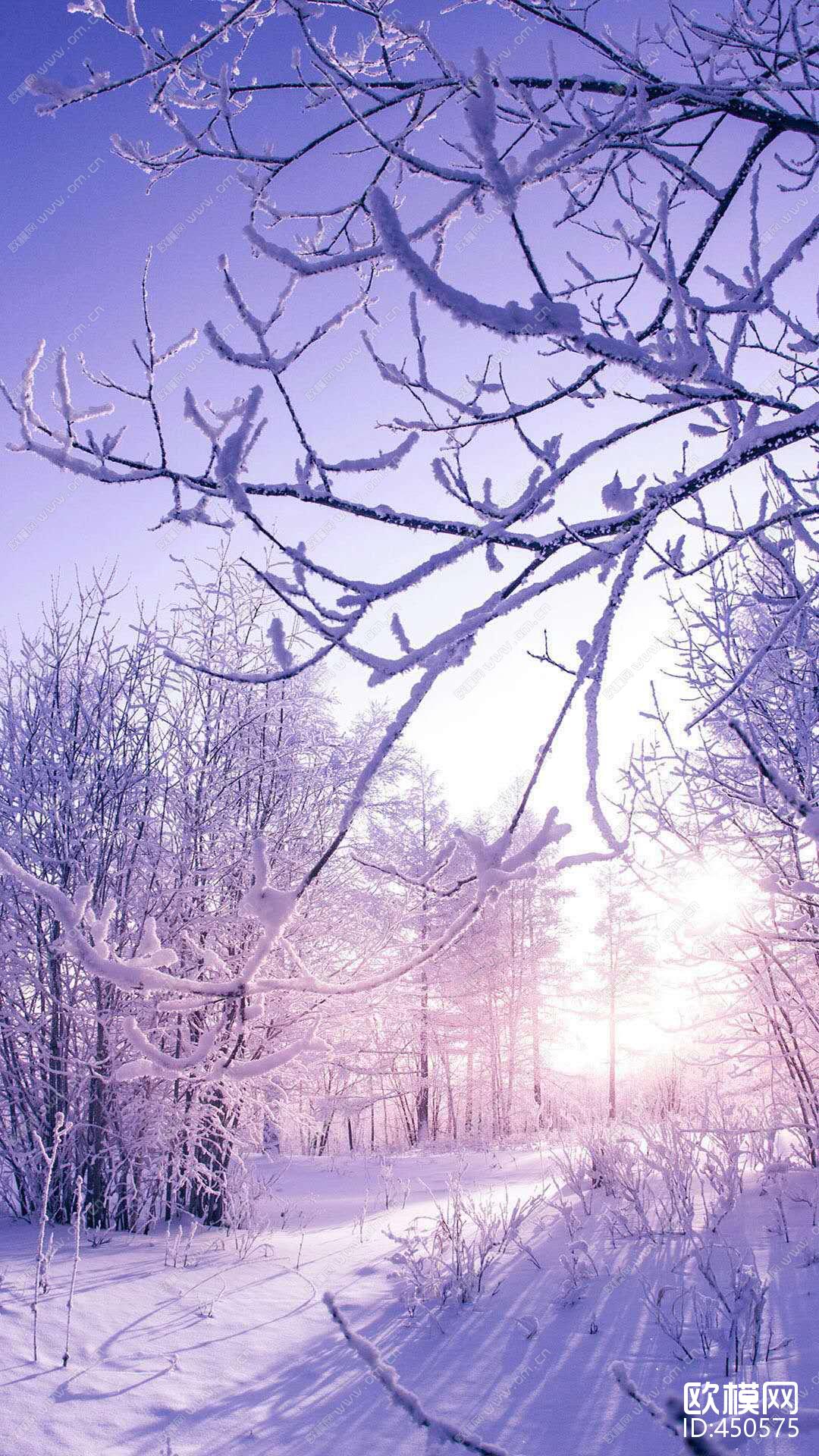 雪景