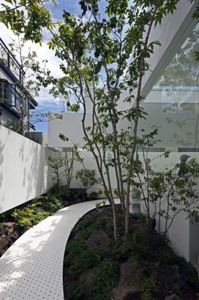 绿化景观