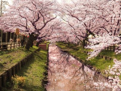 乡村景观