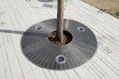 树池