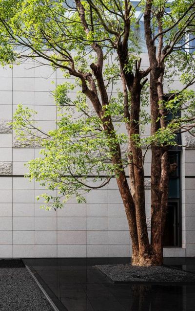 室内景观 新中式