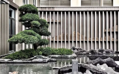 室内景观
