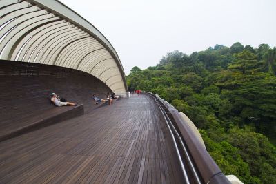 乡村景观