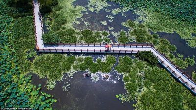 滨水公园