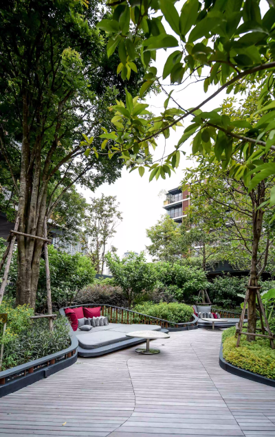 树池