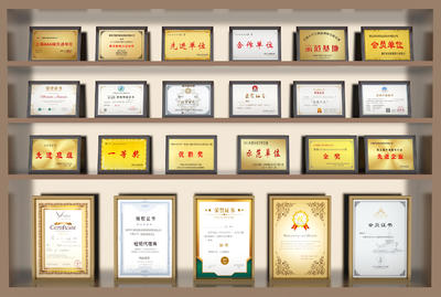 现代奖牌荣誉证书奖状摆件