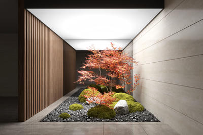 室内造景 景观小品