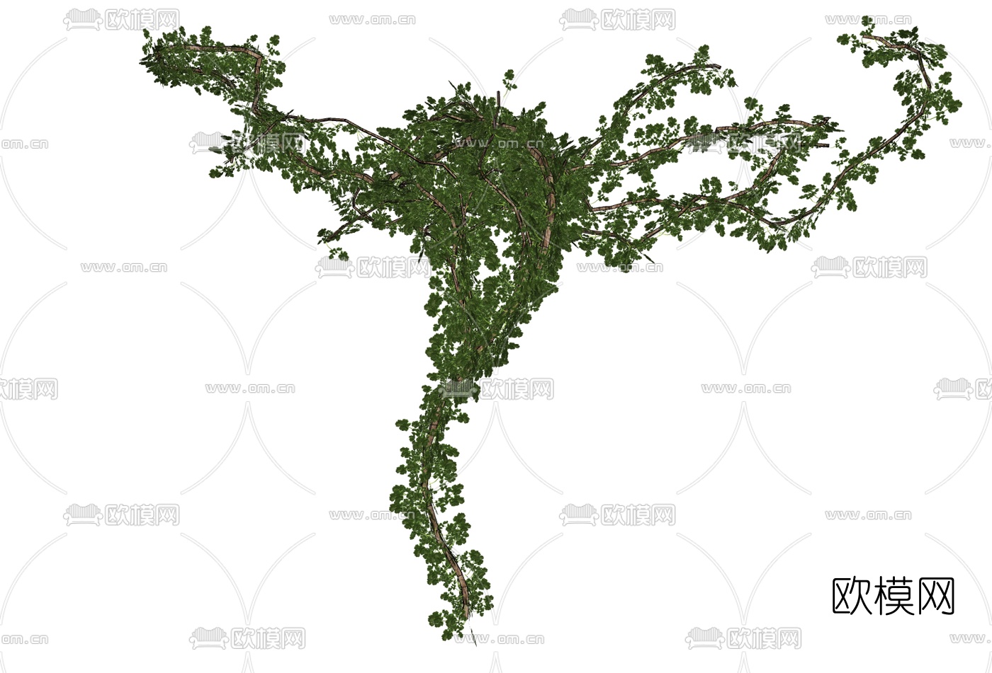 现代植物藤蔓免费su模型