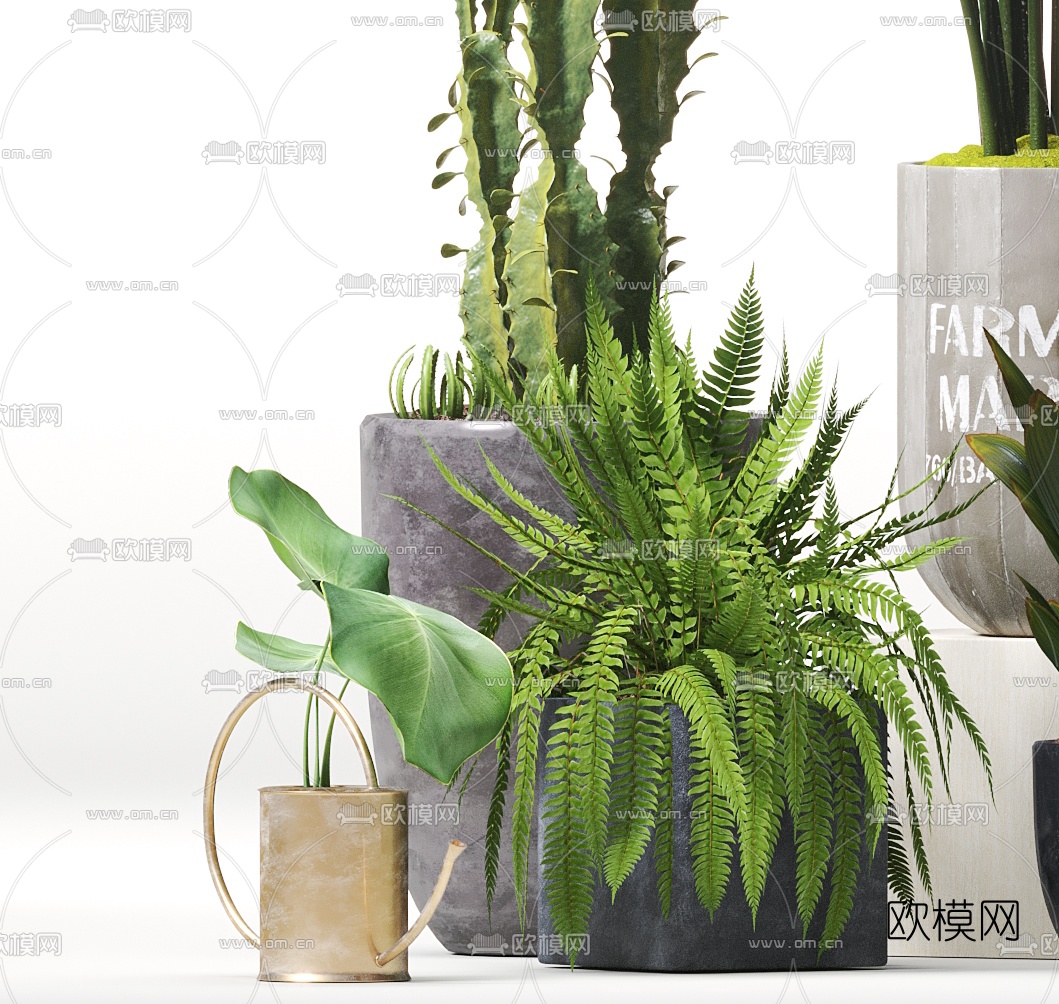 现代植物盆栽组合3d模型