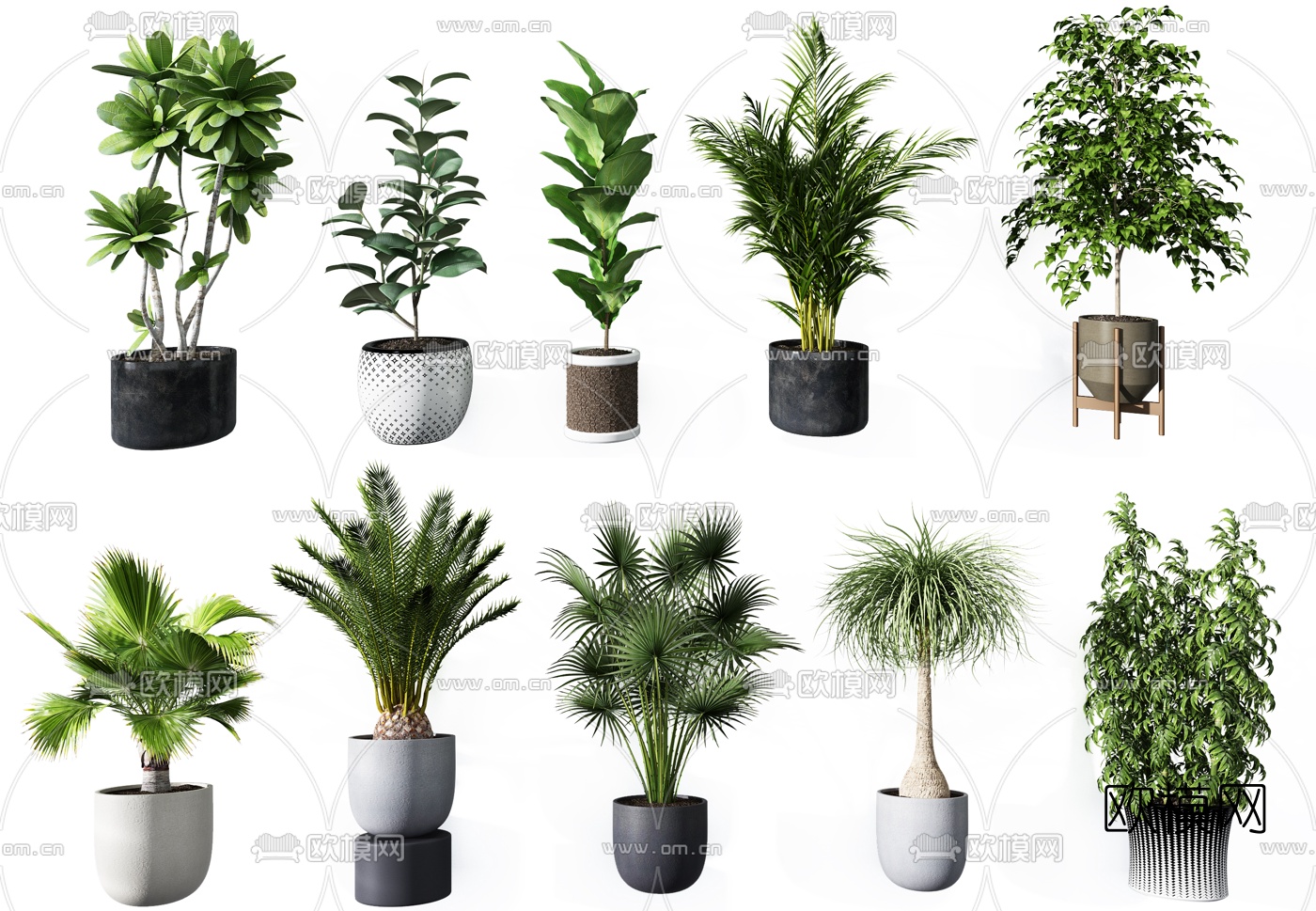现代植物盆栽组合3d模型