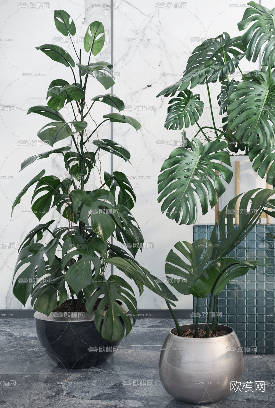现代绿植盆栽3d模型下载（渲染图2）