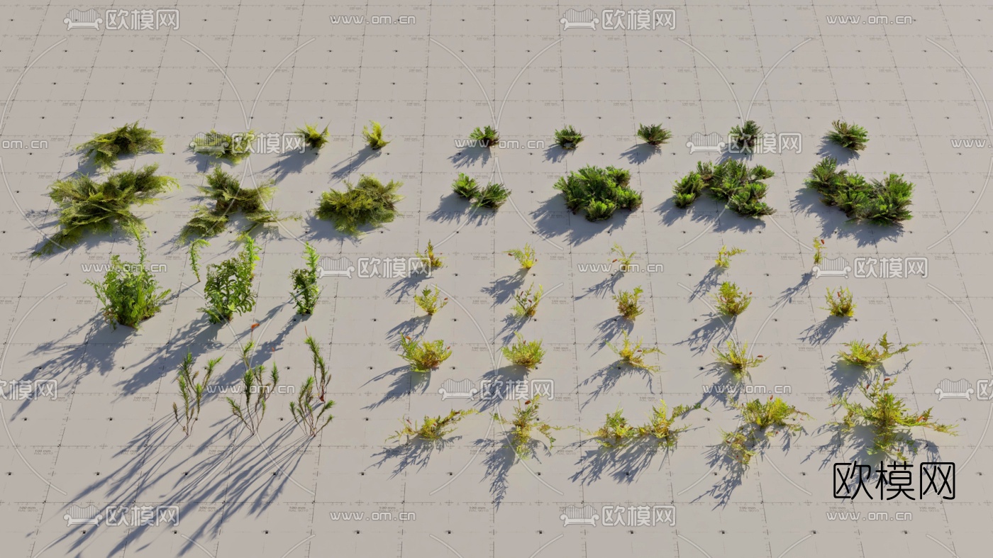 现代石头苔藓植物组合3d模型
