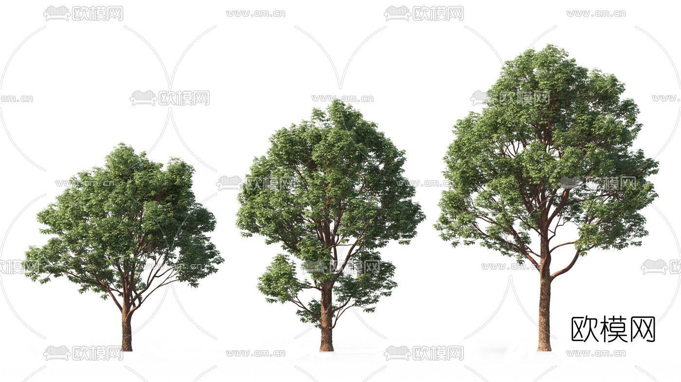 现代景观树木3d模型