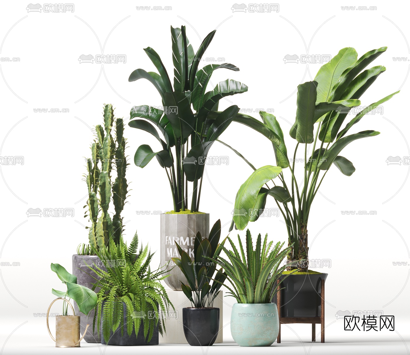现代植物盆栽组合3d模型