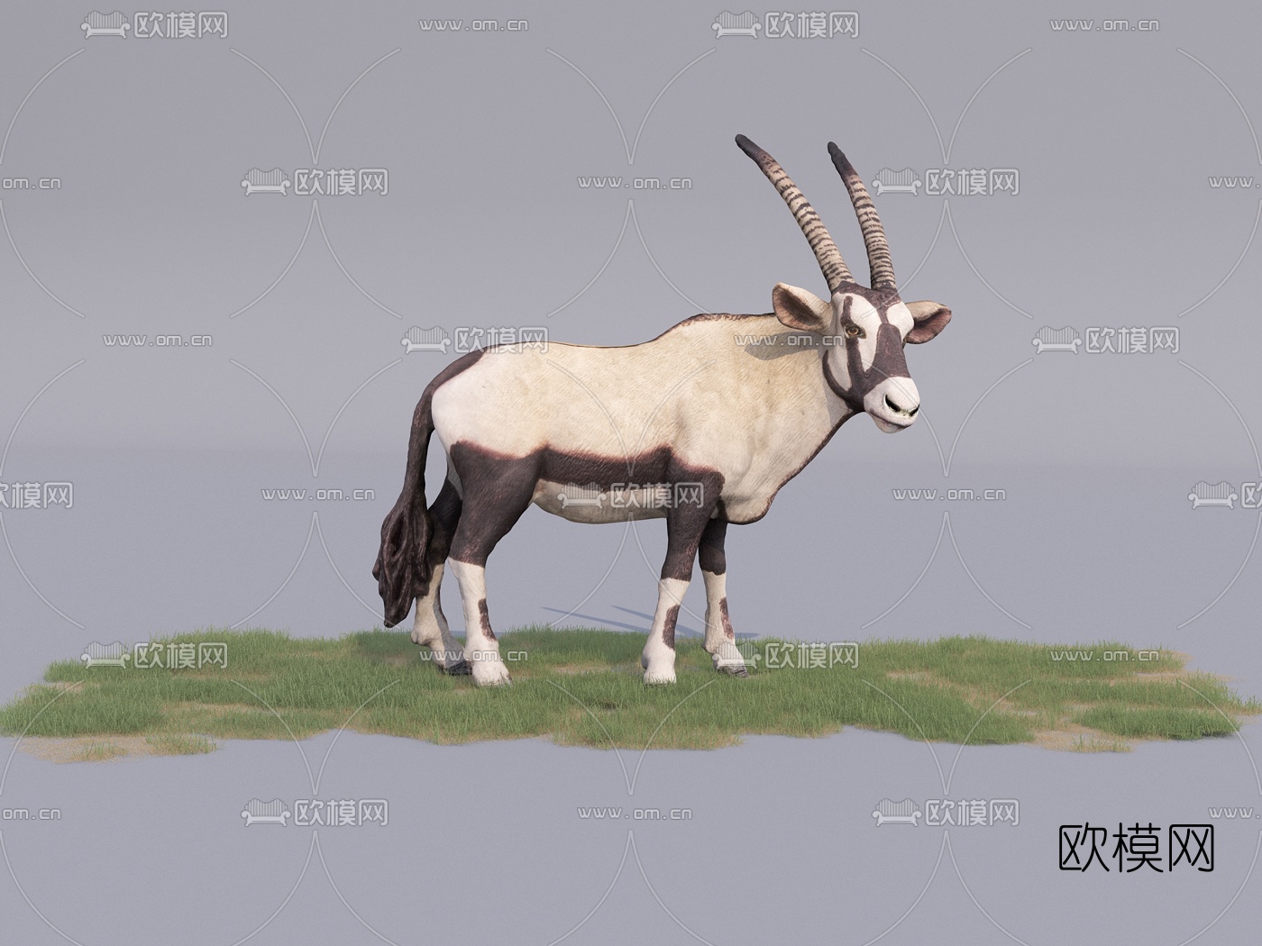 现代动物羚羊3d模型下载
