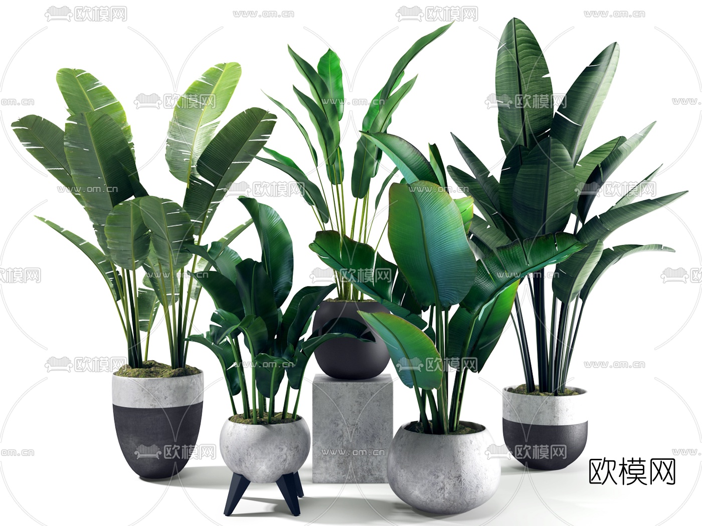 北欧绿植盆栽组合3d模型下载