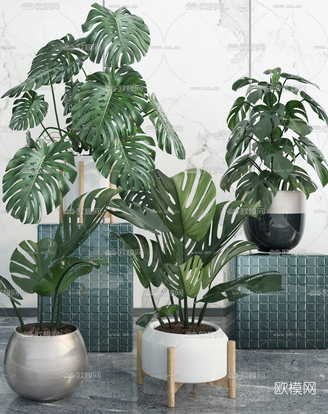 现代绿植盆栽3d模型下载（渲染图3）