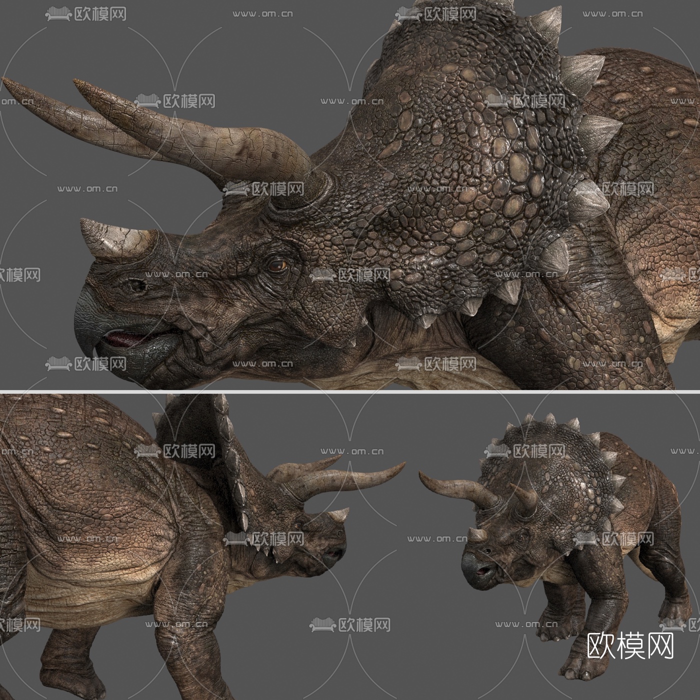 现代恐龙3d模型下载