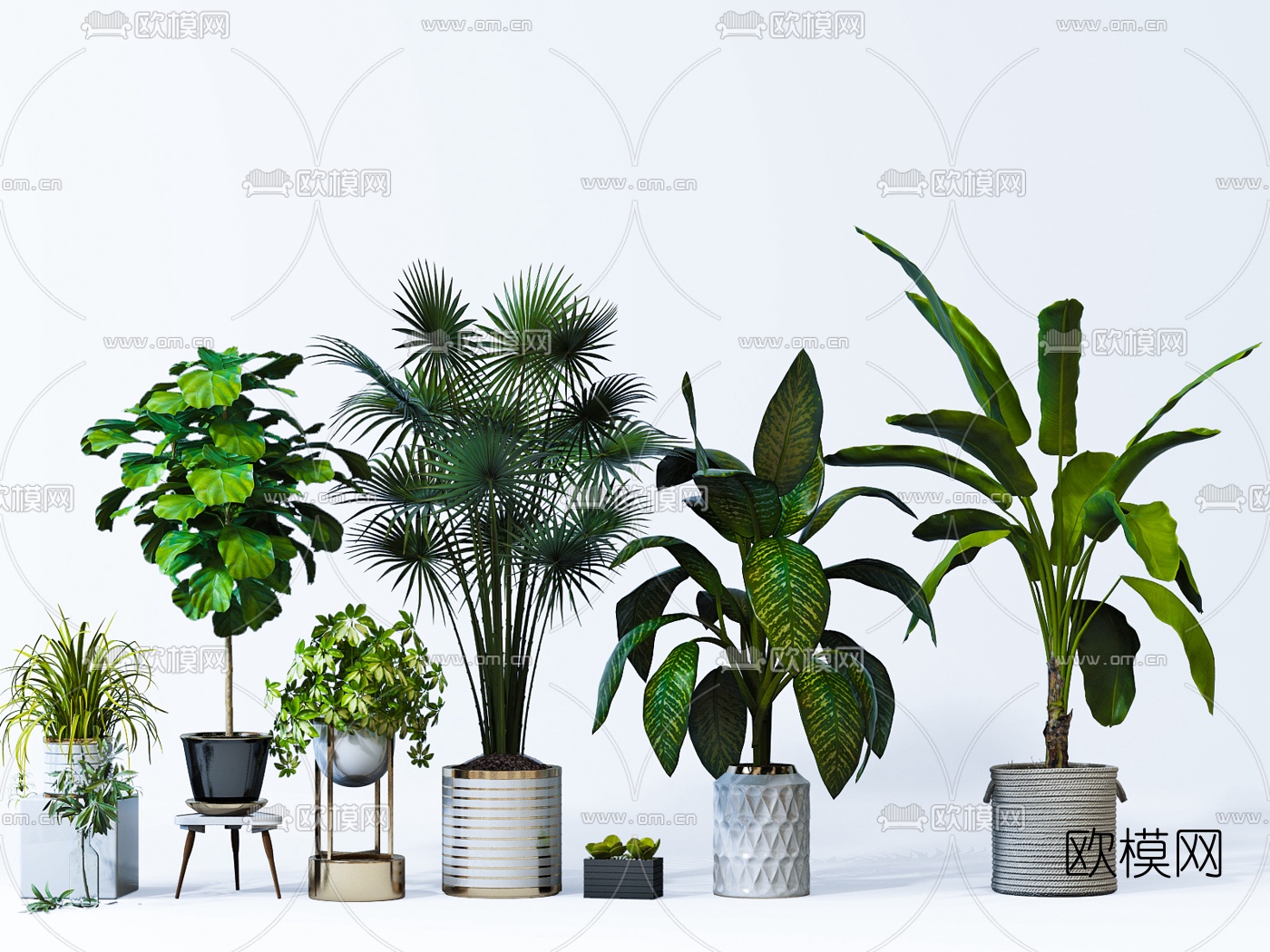 现代绿植盆栽3d模型下载_ID:10469774_3dmax免费模型-欧模网