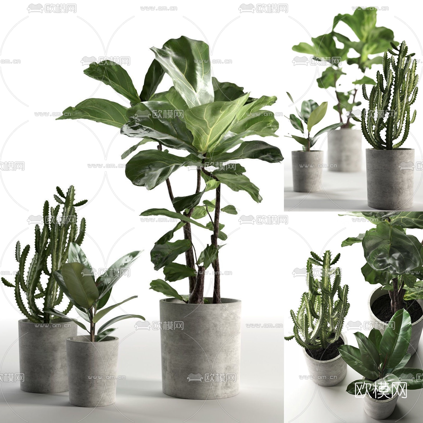现代绿植盆栽组合3d模型-免费3dmax模型库-欧模网