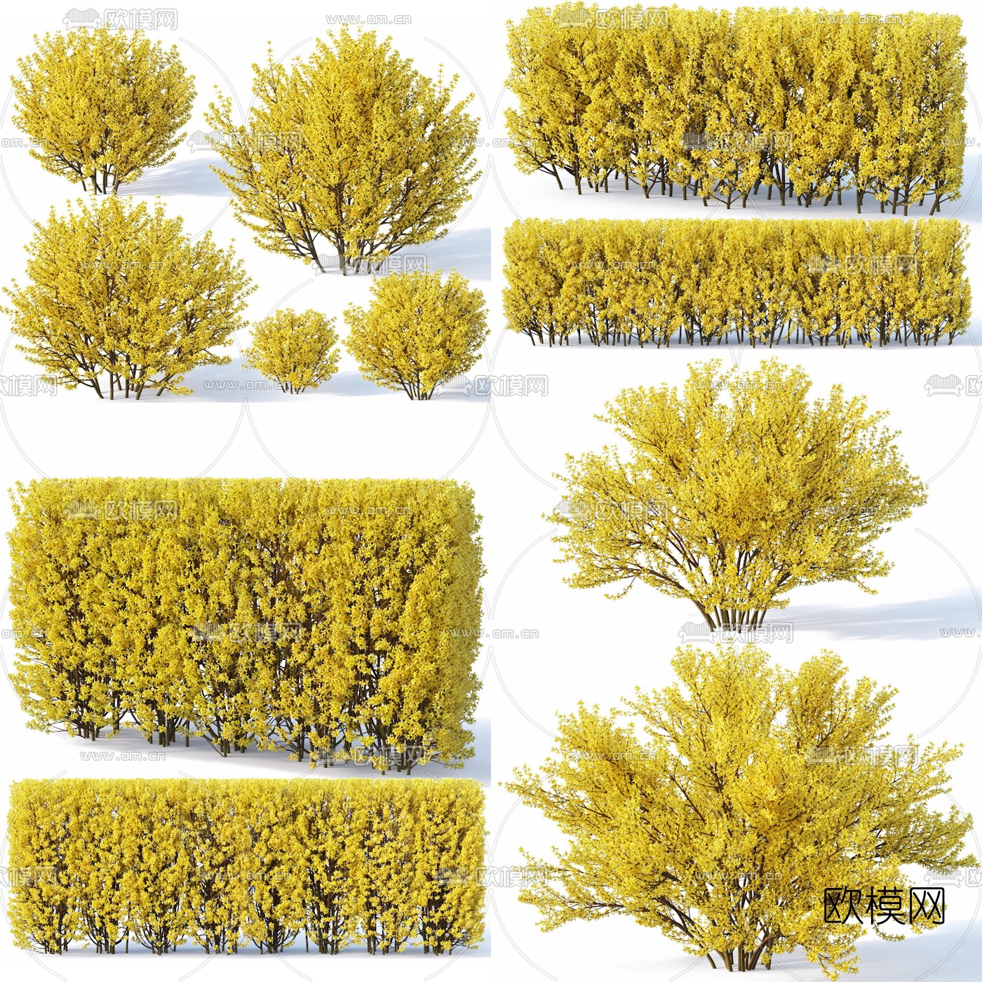 现代灌木绿篱3d模型下载