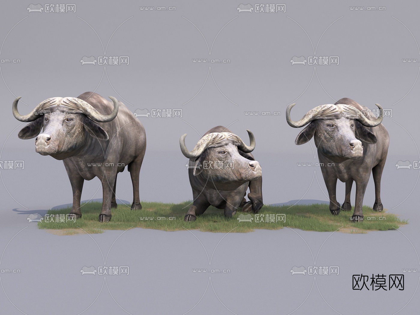现代水牛3d模型下载