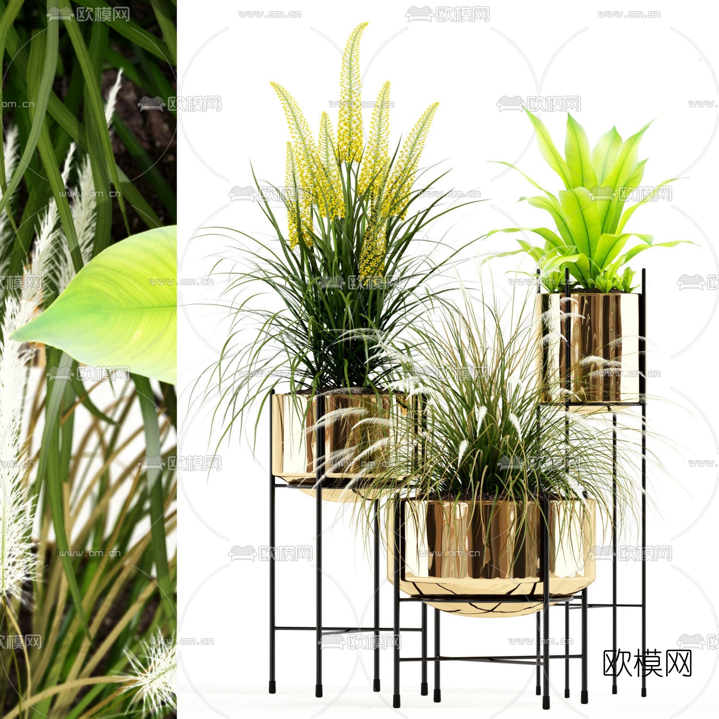 现代绿植盆栽3d模型