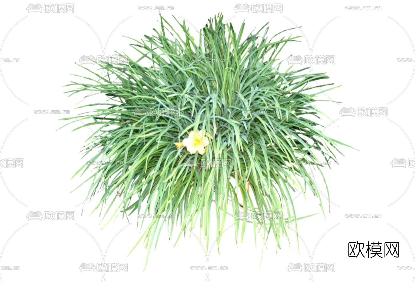 现代2d花草植物组件免费su模型