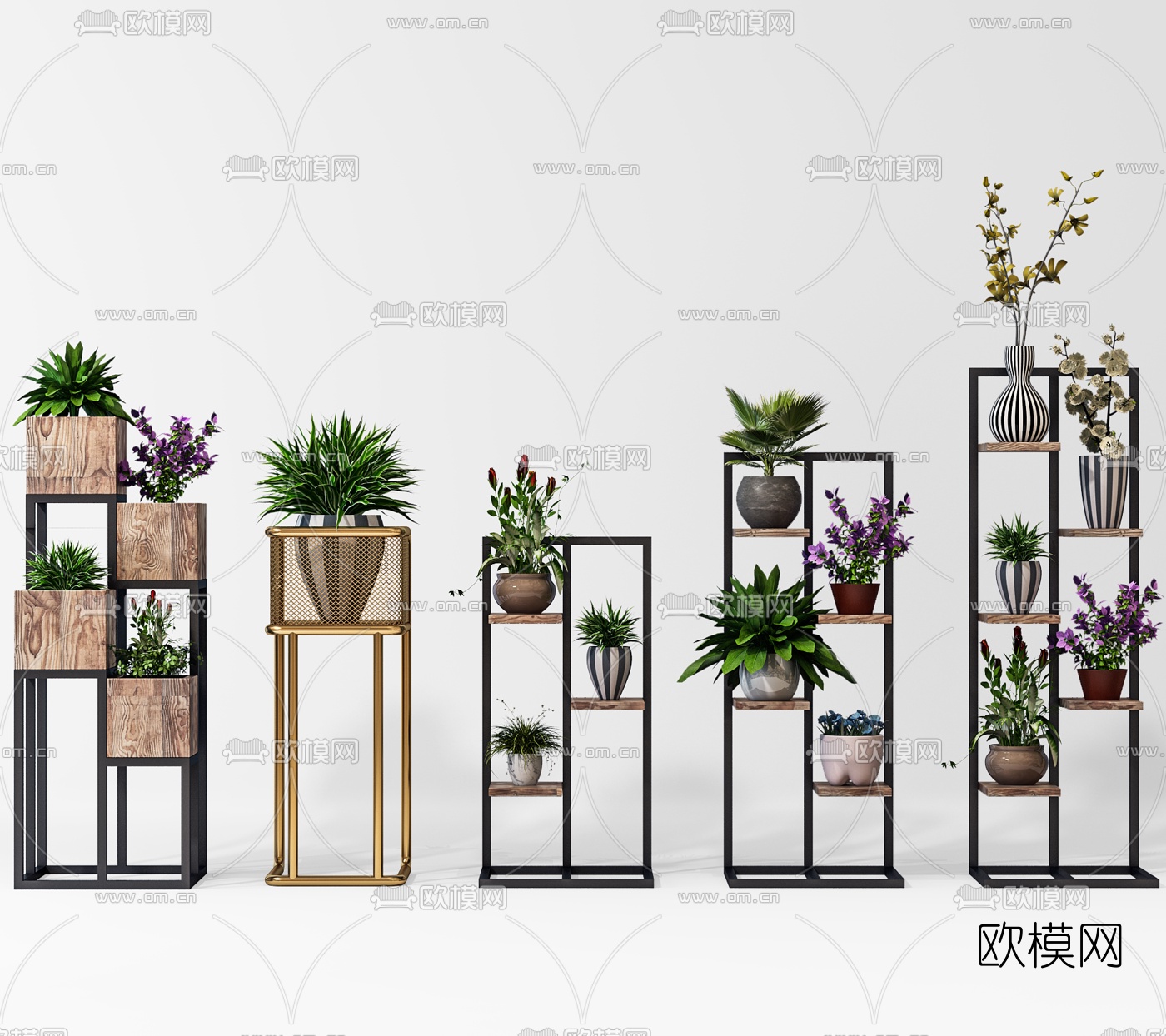 现代花卉植物盆栽3d模型-免费3dmax模型库-欧模网