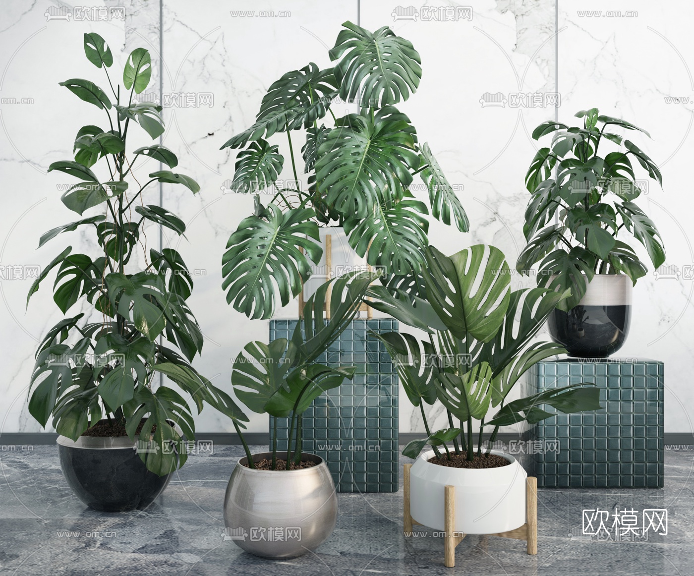 现代绿植盆栽3d模型下载（渲染图1）