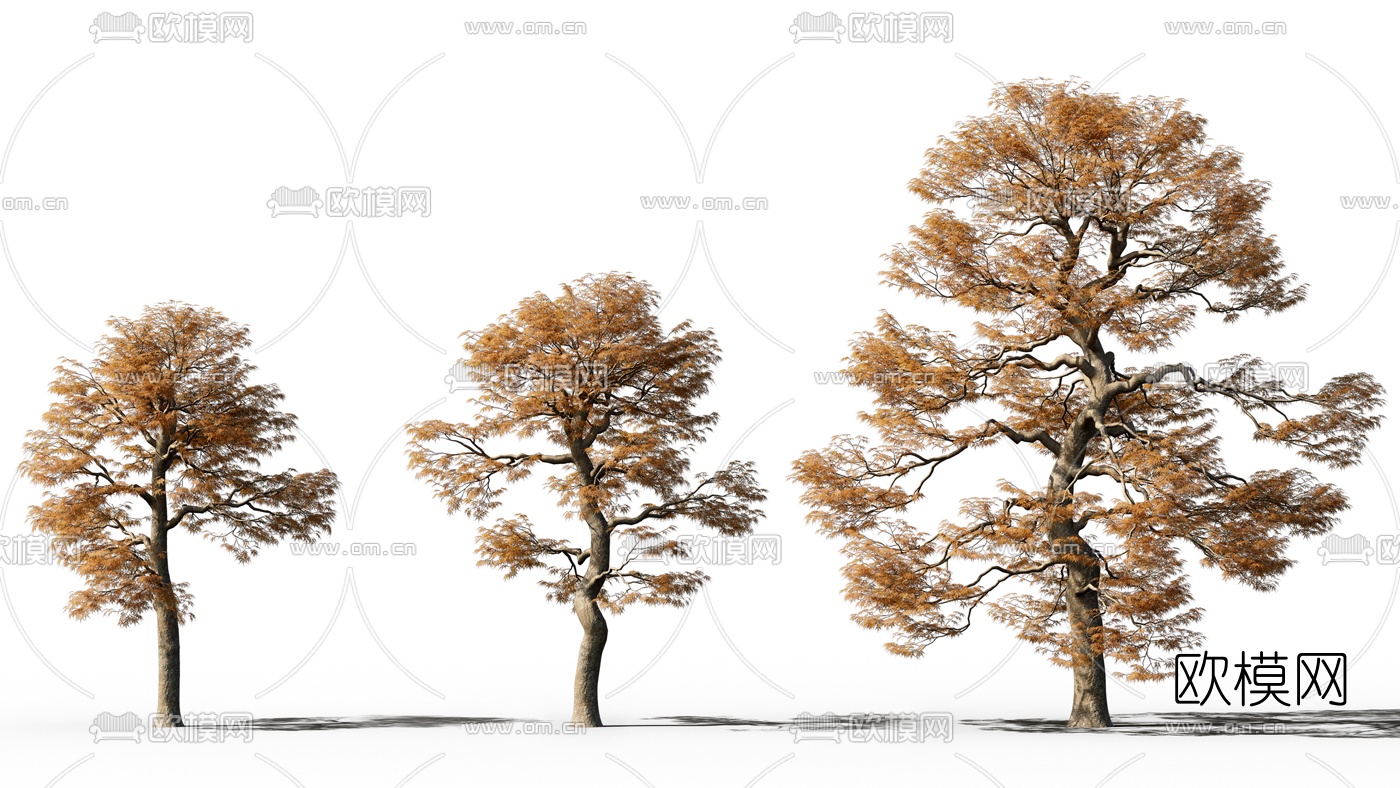 现代景观树木3d模型下载