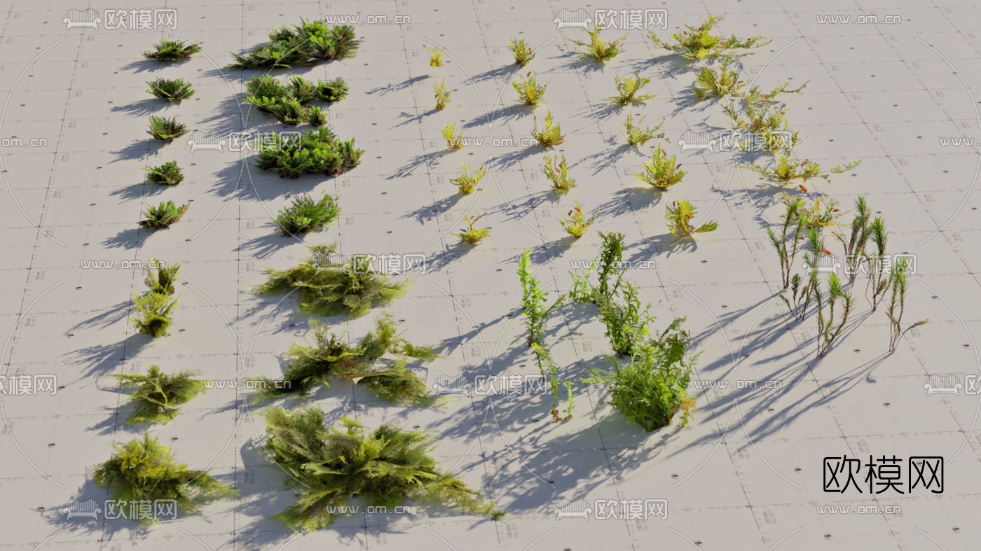 现代石头苔藓植物组合3d模型